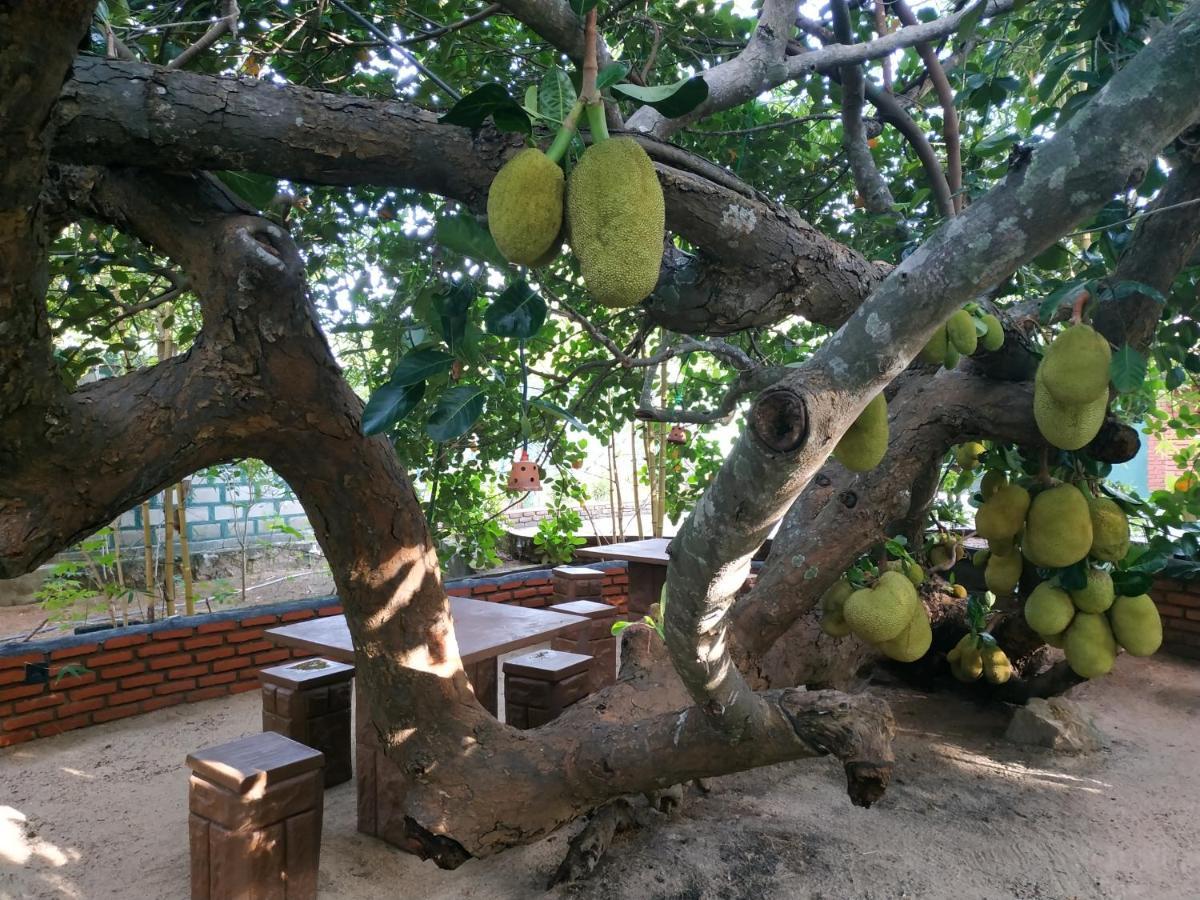 Sigiriya Cashew Palace Resort Daganapothaha Экстерьер фото