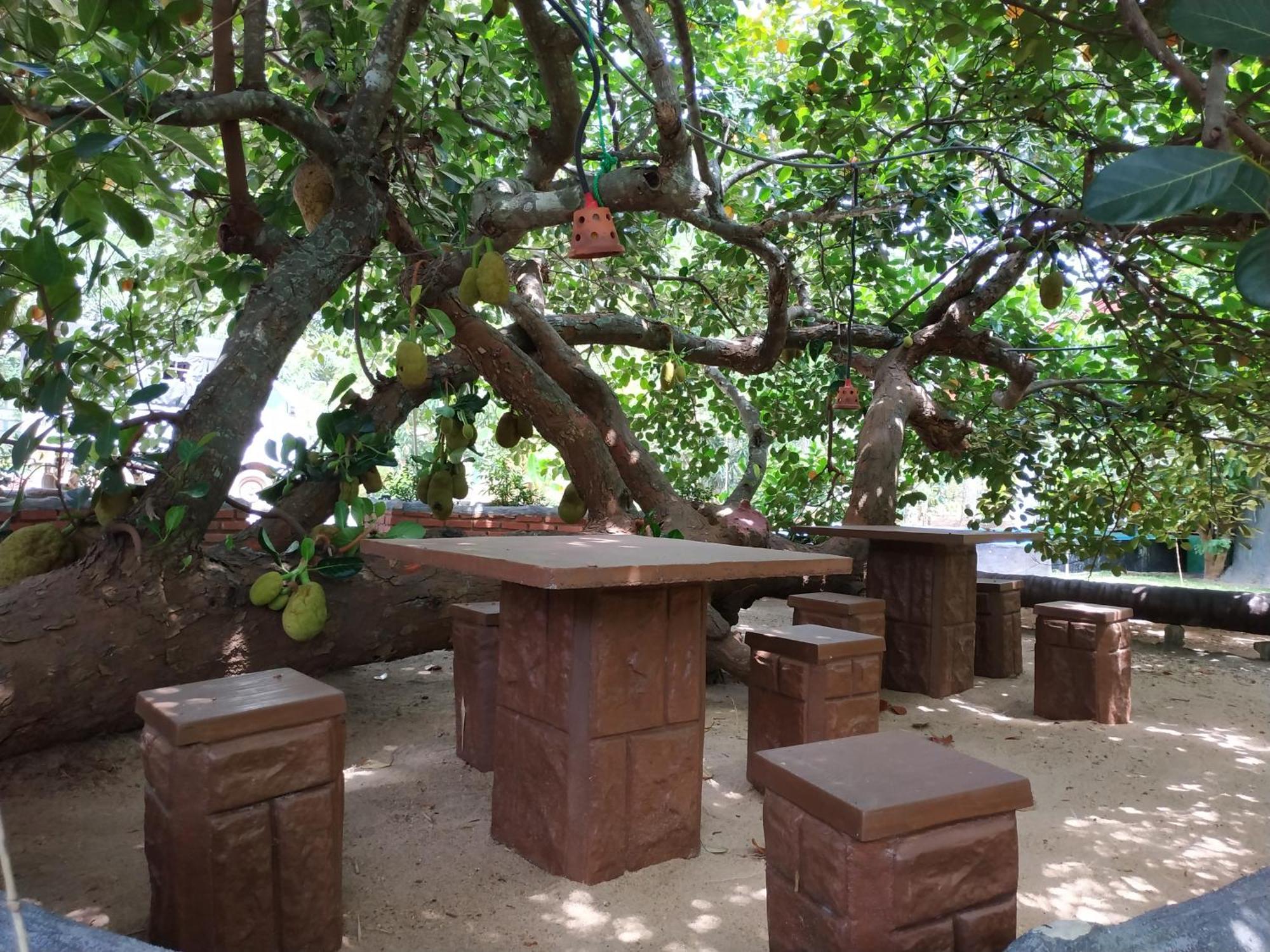 Sigiriya Cashew Palace Resort Daganapothaha Экстерьер фото