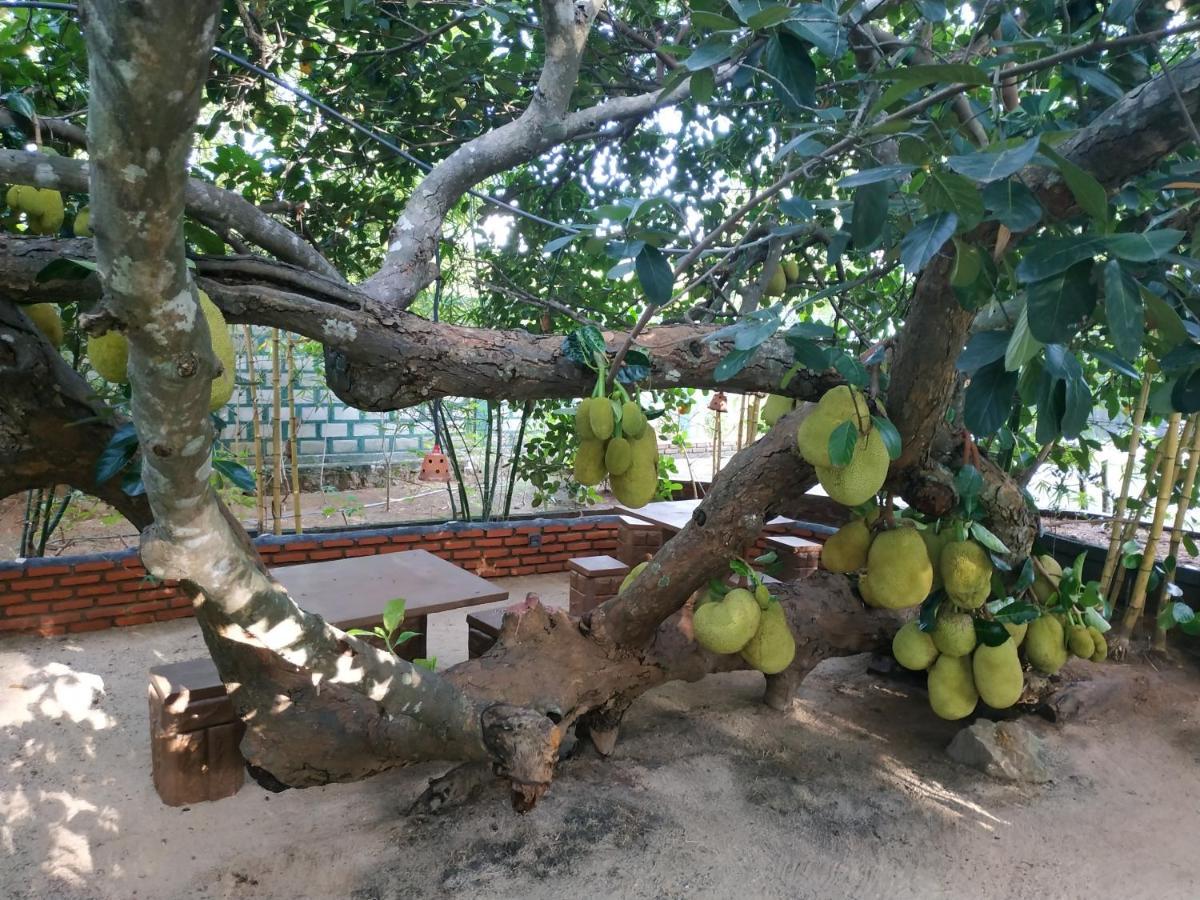 Sigiriya Cashew Palace Resort Daganapothaha Экстерьер фото