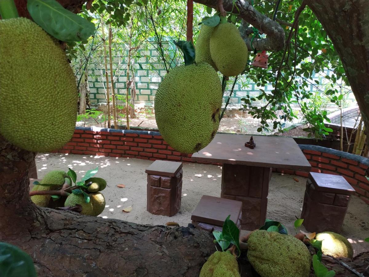 Sigiriya Cashew Palace Resort Daganapothaha Экстерьер фото