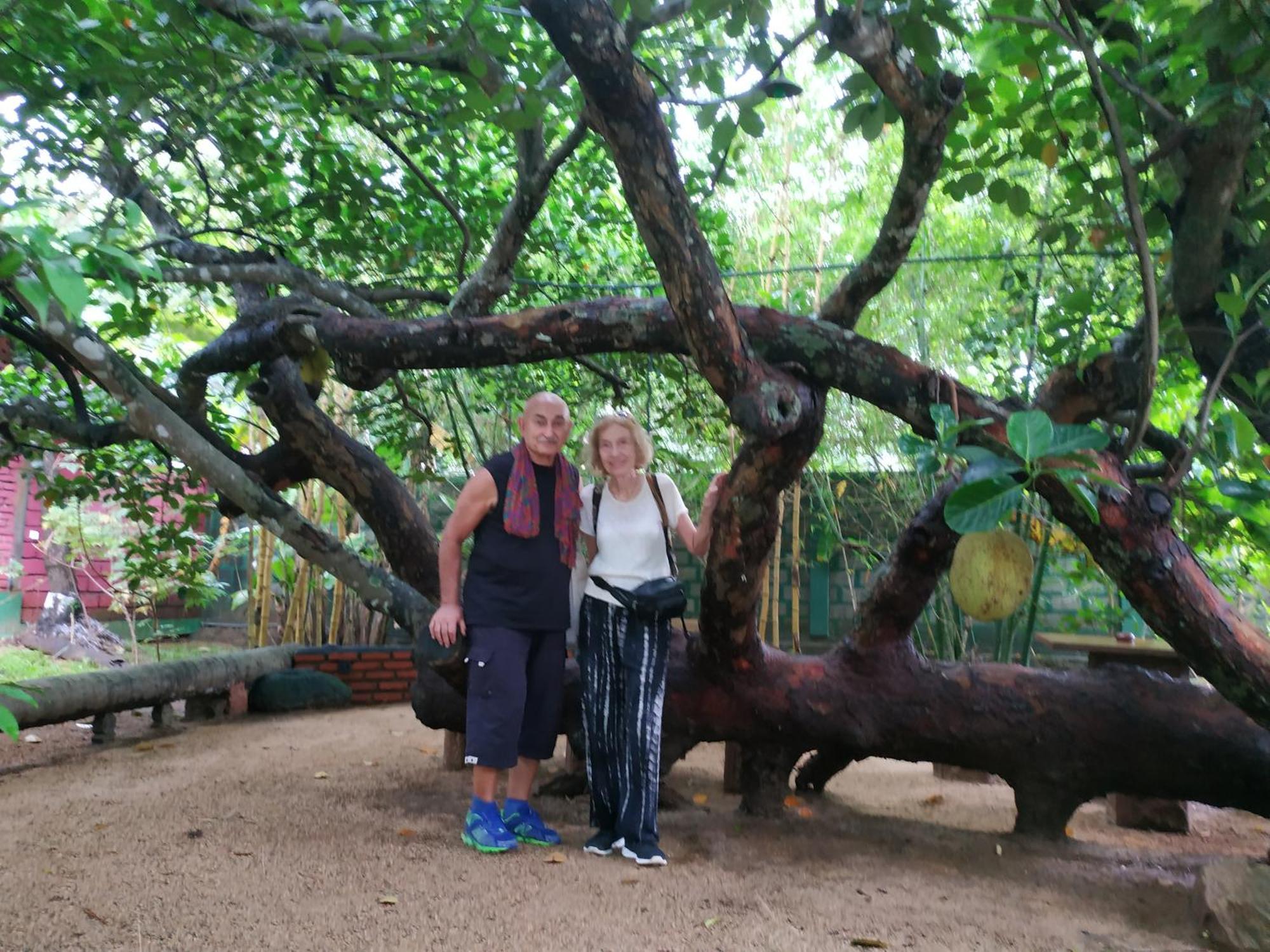 Sigiriya Cashew Palace Resort Daganapothaha Экстерьер фото