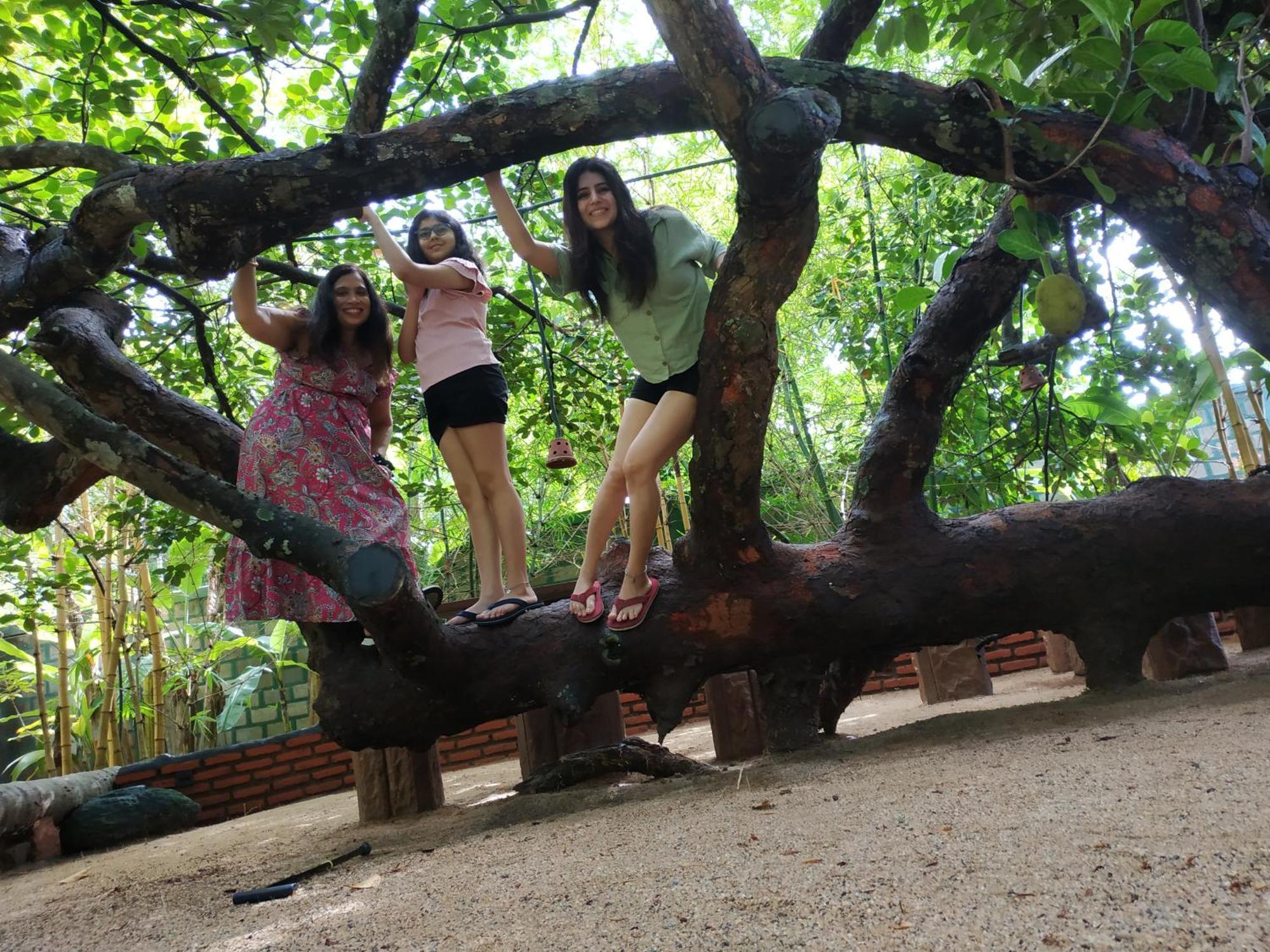 Sigiriya Cashew Palace Resort Daganapothaha Экстерьер фото