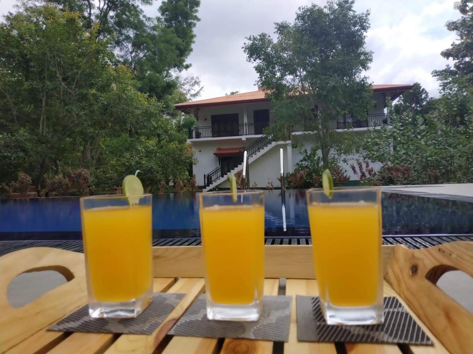 Sigiriya Cashew Palace Resort Daganapothaha Экстерьер фото